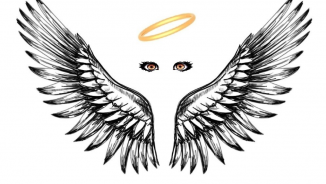 Angel Eye Investigations LLC, Clinton Township